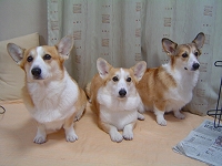 はじめまして