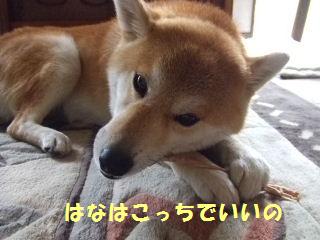 もう夢中です