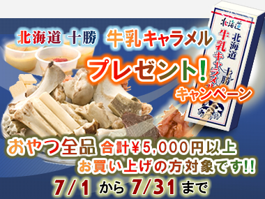 �h�k�C���\�������L���������h�v���[���g�I