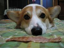 もう、待てましぇ〜ん っつ