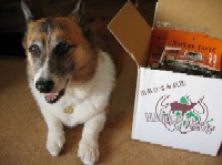 早く早く〜